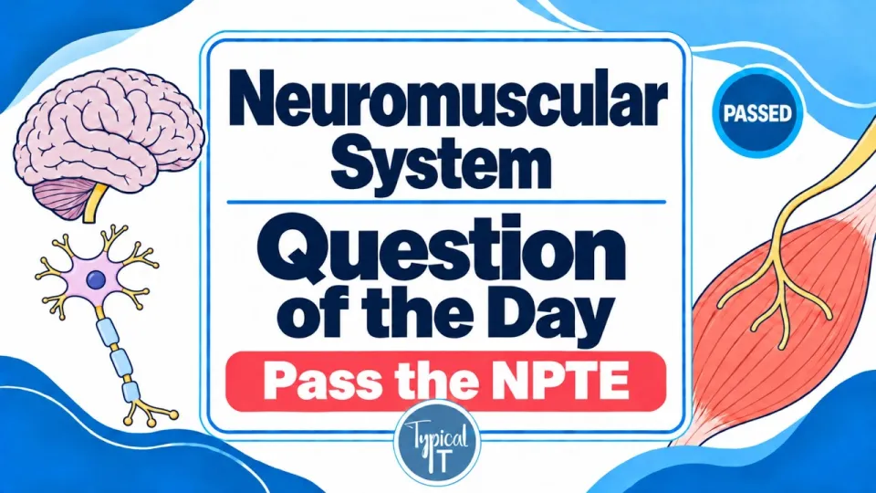 How to Effectively Use NPTE Neuro Practice Questions for Exam Success